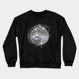 Shiny Crewneck Sweatshirt